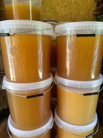 ULO Pasieki Miód lipowy HURT 30 kg