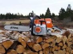 Wycinanie i cięcie drzew Poznań i okolice