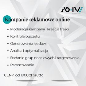Skuteczne kampanie online: Meta Ads (Facebook, Instagram), Google Ads, TikTok Ads.