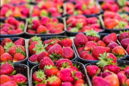 Dostarczam wykwalifikowanych pracowników z Ameryki Łacińskiej do przetwórstwa owoców i war