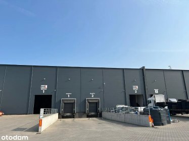 Przeładunek towarów – sprawnie i terminowo