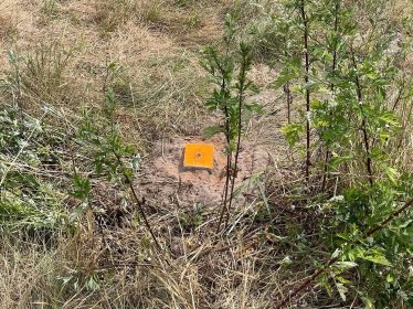 Wznowienie znaków granicznych/wyznaczenie punktów granicznych/ustalenie przebiegu granic