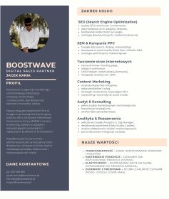 POZYCJONOWANIE SEO/ LOKALNE REKLAMA W INTERNECIE (SEM)