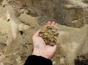 Podana cena bez kosztów transportu - ten ustalany indywidualnie.