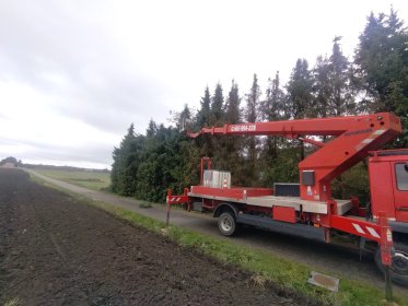 wycinka drzew niebezpiecznych