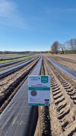 Ściółkowanie upraw maszyną Agrimpex