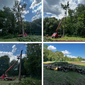 Wycinamy, przycinamy, zabezpieczamy. Realizacje prac wraz z frezowaniem pni.