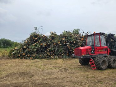 Kompleksowa Wycinka drzew na działkach powyżej 0.5 ha