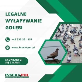 Odstraszanie ptaków, gołębi