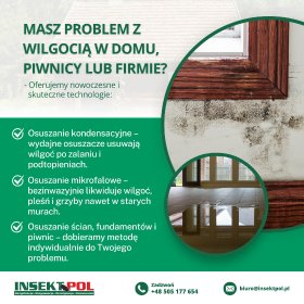 Osuszanie budynków, mikrofale