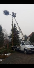 Wycinka drzew cięcia sanitarne z podnośnika koszowego