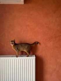 Profesjonalne malowanie lokali firmowych