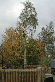 Wycinka alpinistyczna