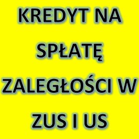 Finansowanie Firm z problemami w US i ZUS