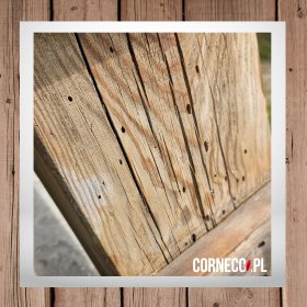 Zwalczanie szkodników drewna