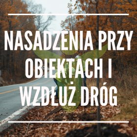 NASADZENIA PRZY OBIEKTACH I WZDŁUŻ DRÓG