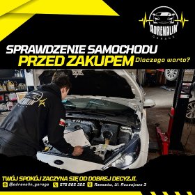 Sprawdzenie samochodu przed zakupem/ po zakupie