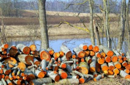 Ukraina. Opal biomasowy, drewno kominkowe, zrebki, trociny, wiory. Kora ozdobna, 3zl worek