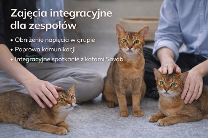 Warsztaty integracyjne dla zespołów