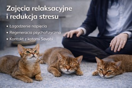 Zajęcia relaksacyjne i redukcja stresu