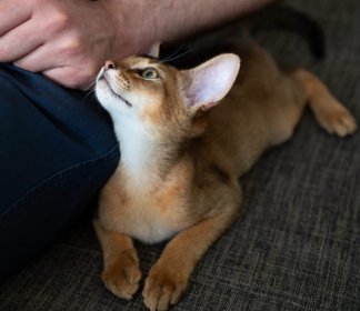 Warsztaty redukcji stresu dla pracowników