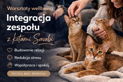 Integracja zespołu – nietypowe warsztaty wellbeing z kotami Savabi