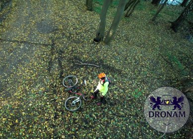 Sesje fotograficzne i wydarzenia