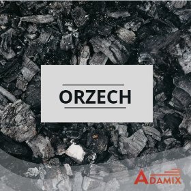 Orzech