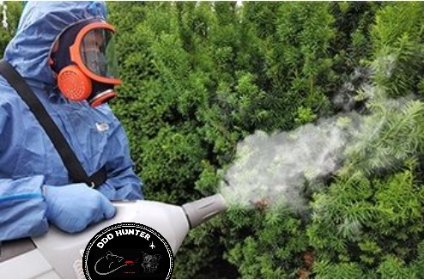 Odkomarzanie Zwalczanie komarów, kleszczy, meszek