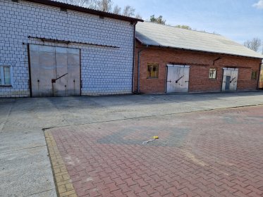 Wynajem chłodni na warzywa,  owoce