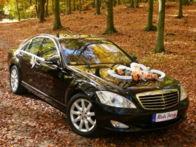 Auto Ślubne, Limuzyna Do Ślubu, Limuzyna Ślubna, Szczecin