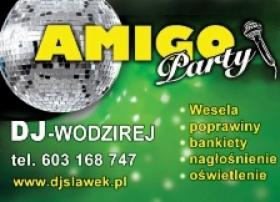 DJ Wodzirej na imprezę firmową, wesele, poprawiny oraz inne.