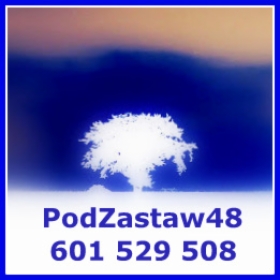 Prywatne pożyczki pod zastaw nieruchomości, kredyty hipoteczne pozabankowe - PodZastaw48