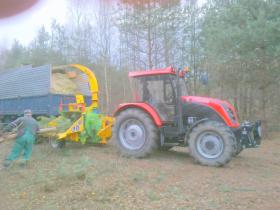 Usługi leśne, wycinka drzew, wycinka samosiejek, usługi rębakiem.