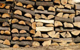Drewno opałowe i kominkowe. TRANSPORT POMORSKIE