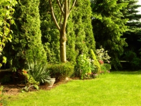 Całoroczna lub sezonowa pielegnacja ogrodow