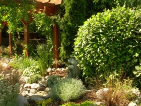 Świadczymy kompleksowe usługi z zakresu budowy i urządzania ogrodu.