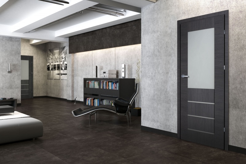 Nowoczesne, grafitowe skrzydło z przeszkleniem w minimalistycznym wnętrzu z ciemną podłogą i betonową ścianą.