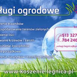 GARDEN GRASS - Utrzymanie Ogrodów Legnica