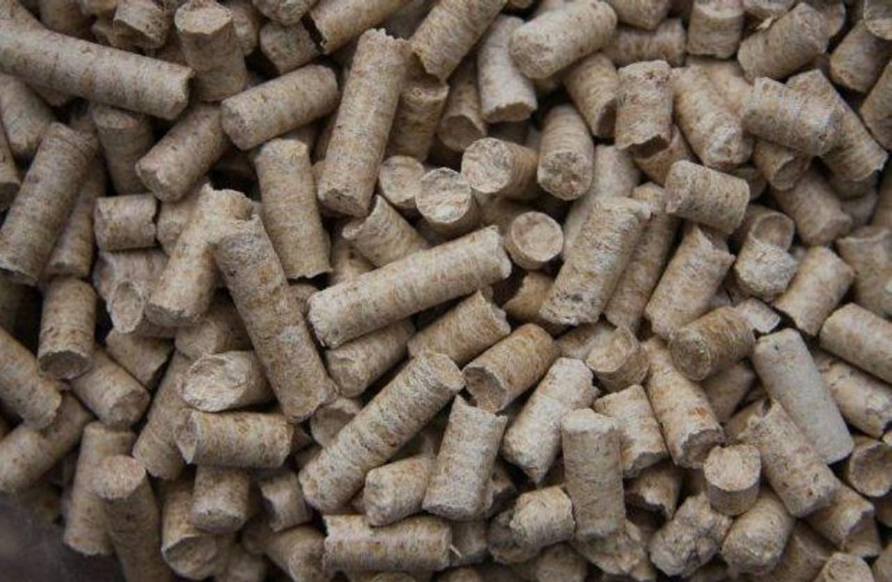 Jasnobrązowe pelety drzewne 6mm Din, ułożone nieregularnie, widoczne przekroje poprzeczne z charakterystyczną strukturą włókien.