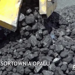 Wyładunek węgla z żółtej ciężarówki na pryzmę. Widoczny numer rejestracyjny pojazdu i logo firmy transportowej. Własna sortownia opału.