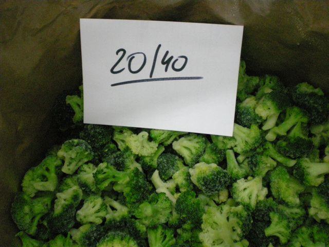 brokuł mrożony kalibrowany 20/40