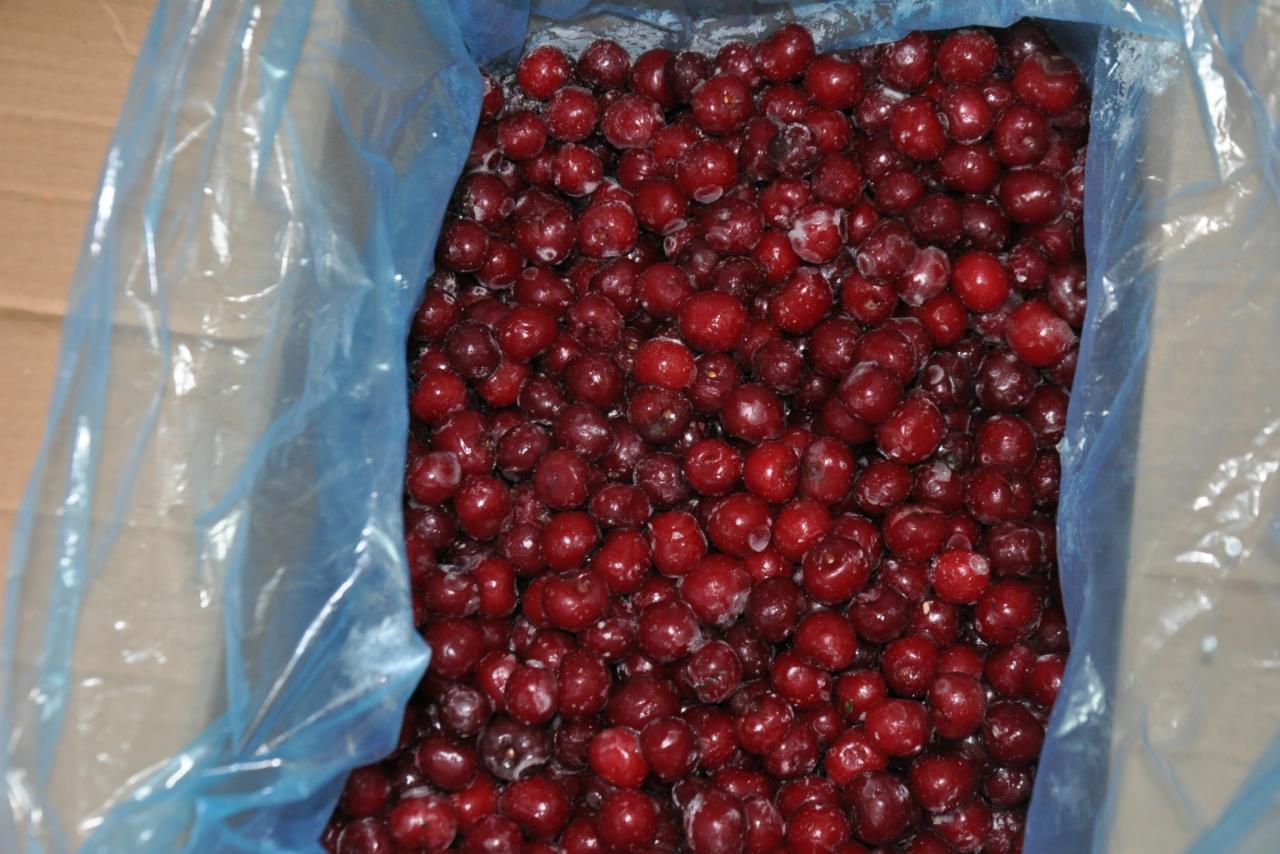 wiśnia mrożona z pestką