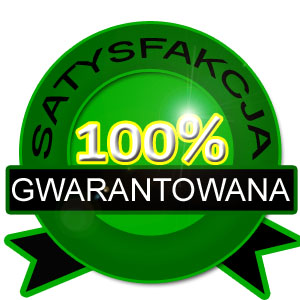 Kompleksowe Sprzątanie Samochodów