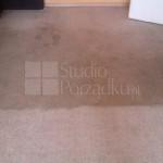 Dywan w zbliżeniu: widoczna różnica w czystości po czyszczeniu fragmentu, z plamami w tle. Dolna część dywanu wyraźnie jaśniejsza.