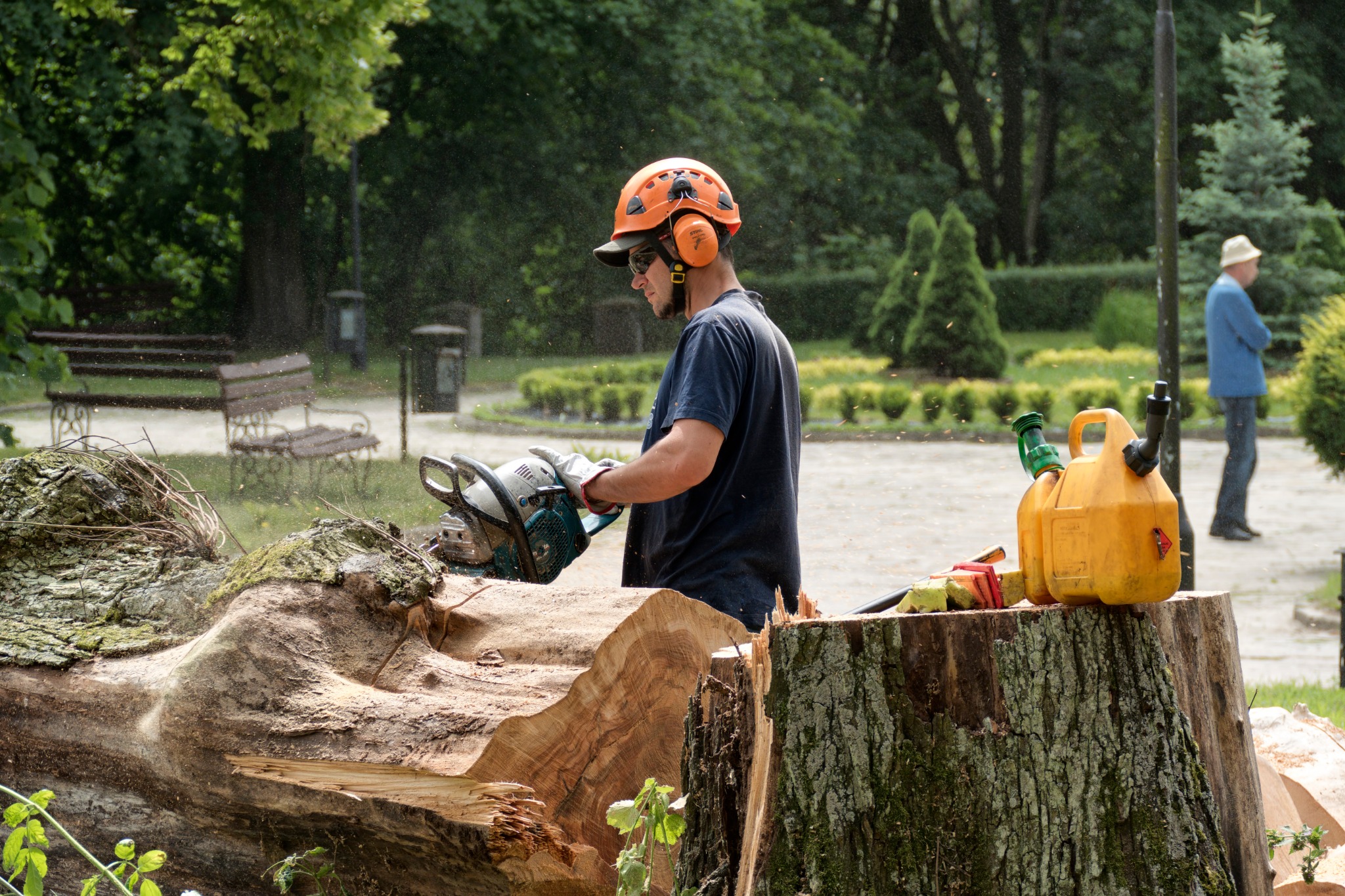 Mężczyzna w kasku i okularach ochronnych tnie piłą spalinową powalone drzewo w parku, w tle ławki i spacerujący mężczyzna.