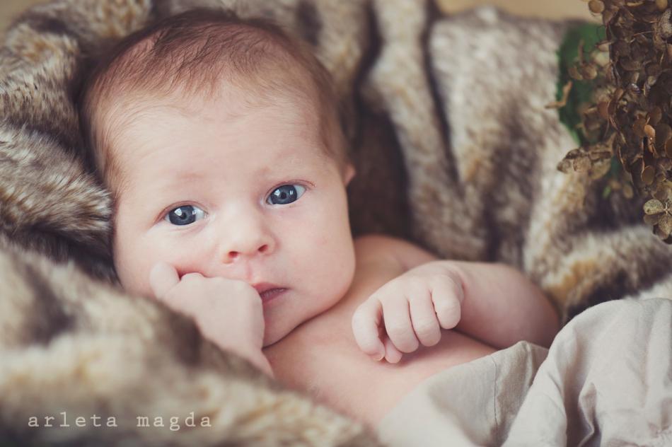 Niemowlę z dużymi niebieskimi oczami leży w miękkim futerku, z palcem w buzi i zamyślonym wyrazem twarzy, obok suszone kwiaty hortensji.