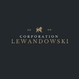 Lewandowski Corporation inż. Kamil Lewandowski