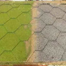 Bio-Ren preparat do usuwania mchów,glonów,porostów