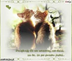 dj na wesele cała polska